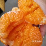 蒲江自家果园耙耙柑 10斤包邮 45-50元