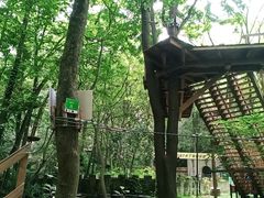 -WeLope紫金山探险公园