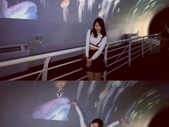 -贝壳梦幻世界