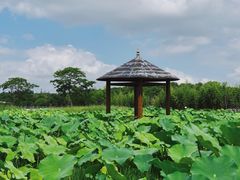 -嘉北郊野公园