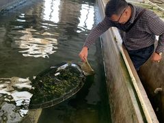 -硇洲岛旅游区