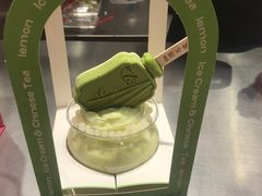 雪绒莓莓团扇冰-须尽欢·冰淇淋&中国茶(翔殷路店)