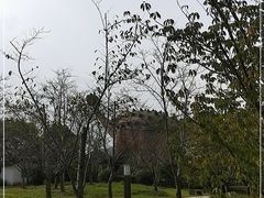-自然谷恐龙园