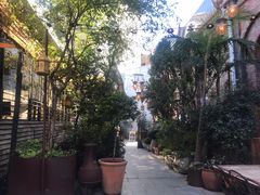 -The Grounds of Alexandria