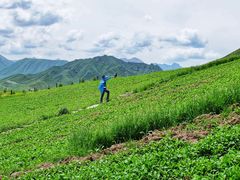 -扁都口生态休闲旅游区
