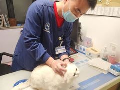 -北京派仕佳德动物医院·超导核磁·CT·神经科·骨科·内外科·急重症管理中心