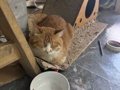 -Fun Job Art 零基础油画国画DIY画室(望京店)