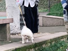 -大罗山风景区