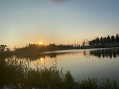 -春花秋色城市公园