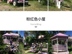 -倒立小屋