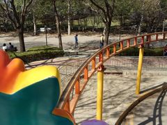 -朝阳公园游乐园