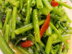 炒空心菜-澳门陈光记烧味饭店(郎家园店)