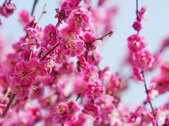 -蜀冈西峰生态公园