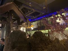-淀里船宴(裕华东路店)