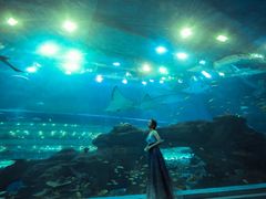 -成都浩海立方海洋公园