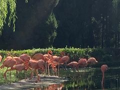 -石家庄市动物园