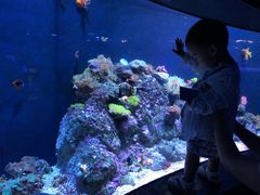 -成都浩海立方海洋公园