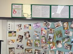 -爱妮康宠物医院·干细胞免疫细胞·肿瘤·心脏(张江店)