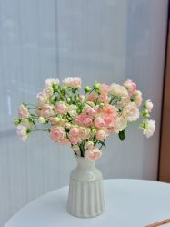 -小珂丽格医疗美容