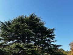 -青岛德国总督楼旧址博物馆
