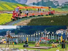 -广州市流溪河国家森林公园