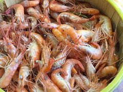 -八仔大富楼·河鲜(西江店)