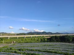-光明小镇欢乐田园