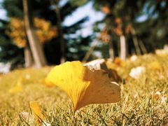 -济南国际园博园