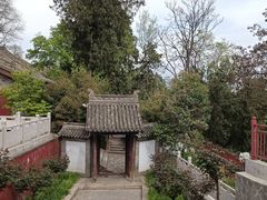 -玉泉观