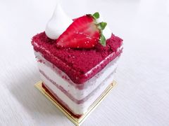 -卡吉诺动物奶油生日蛋糕(东明路店)