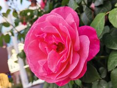 -太二酸菜鱼(天鹅湖万达店)