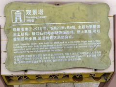-大湾区中央湿地公园