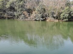 -白马涧龙池景区