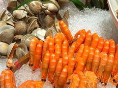 -顺德美的万豪酒店·自助餐·贡厨