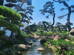 -罗红摄影艺术馆