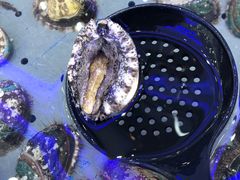 鲜活鲍鱼-澜悦港海鲜体验主题餐厅