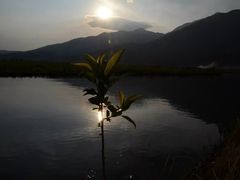 景点-腾冲北海湿地