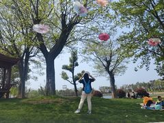 -武汉紫薇都市田园