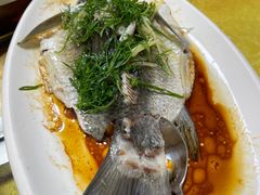 蒸皖鱼-光头强美食