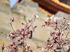 -东华门大街小区