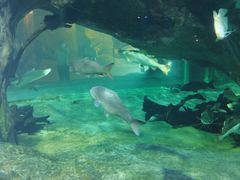 -华夏文旅西安度假区