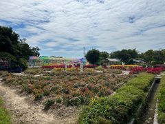 -广东花都香草世界旅游度假区