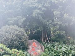 -乌山风景区
