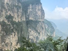 -王莽岭风景区