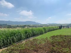 -光明小镇欢乐田园