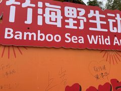 -栾川竹海野生动物园
