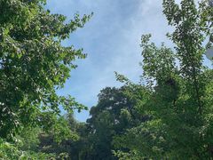 -大蜀山国家森林公园