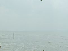 -呈贡滇池生态湿地公园