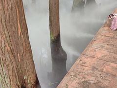 -东湖落雁景区