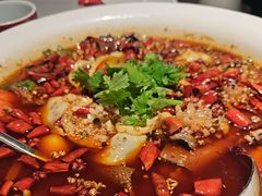 -许家菜(DT51店)